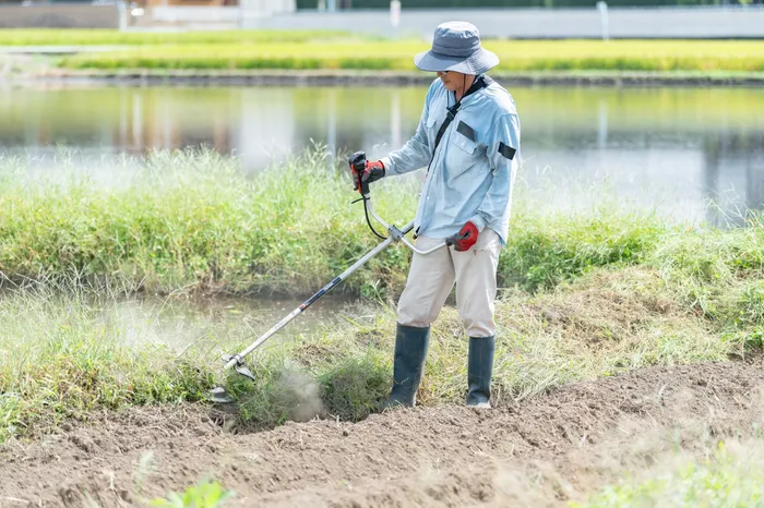 刈払機での草刈り作業