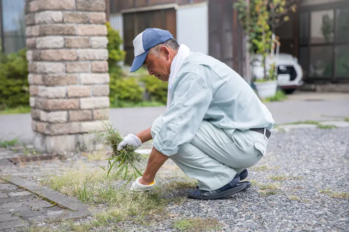 手作業での草むしり